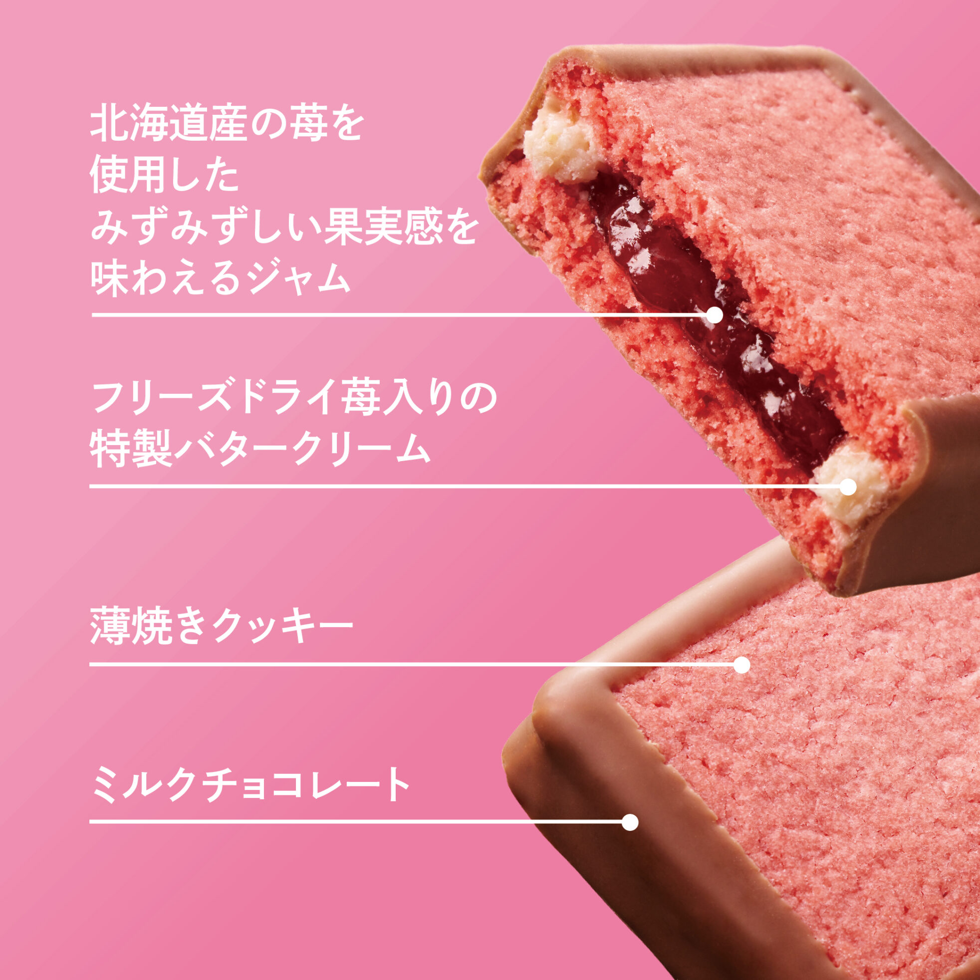 3/13(金)より期間限定販売】ストロベリージュエリー プランタン 
